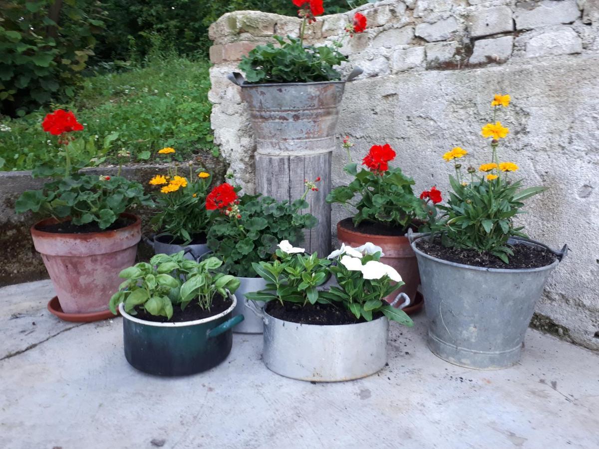 Il Noccioletto Bed and Breakfast Mombaruzzo Exteriör bild